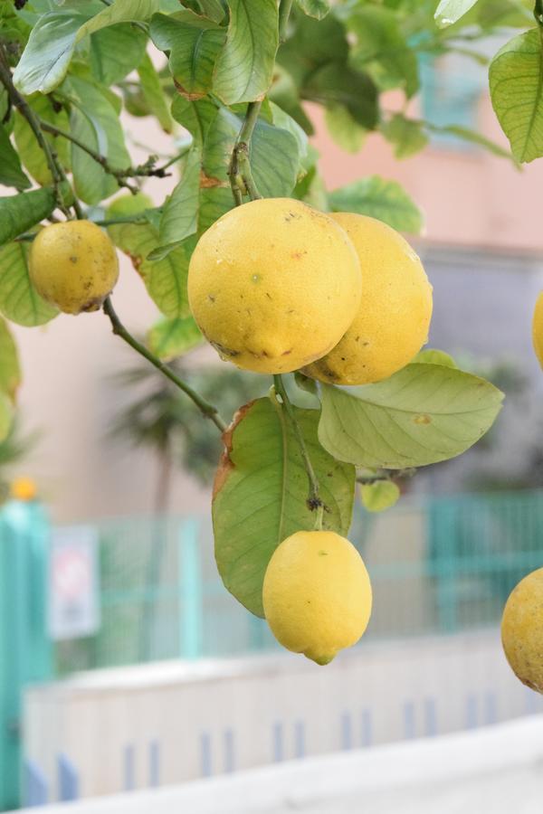 Apartamento Il Giardino Dei Limoni Gaeta Exterior foto